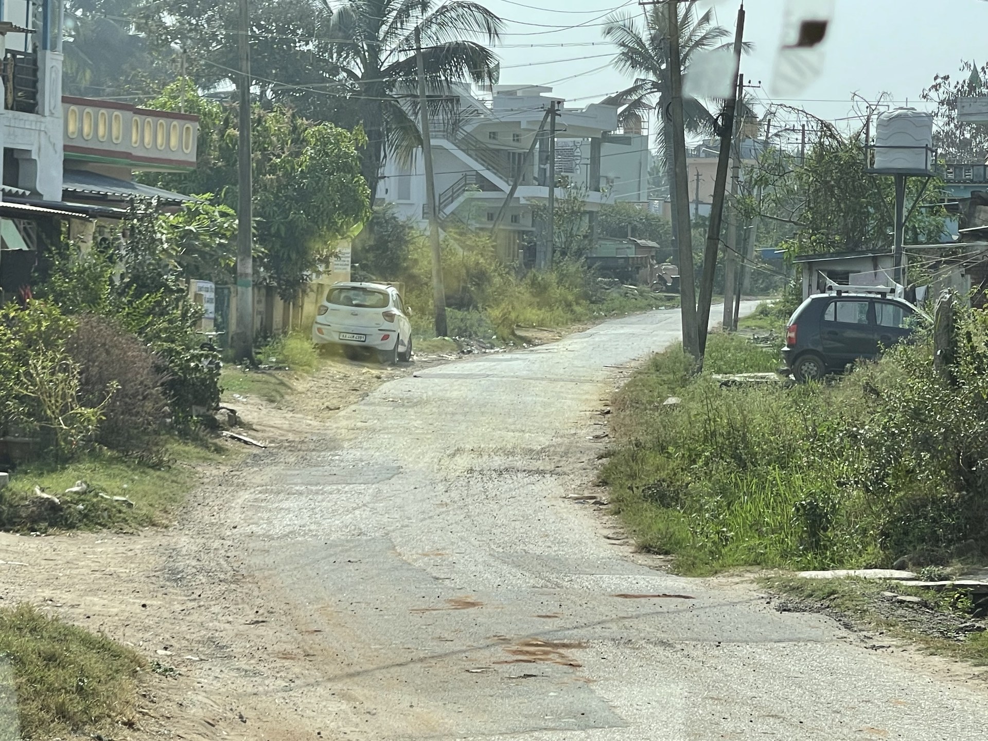 A narrow street curves between houses and palm trees, with parked cars along the roadside.